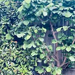 Casa Darului 홈스테이 데포리노드