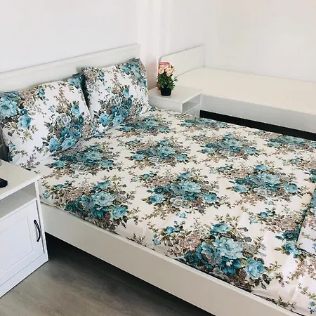 Kwatera prywatna Casa Darului *