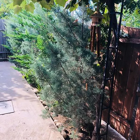 Casa Darului منزل للإقامة *