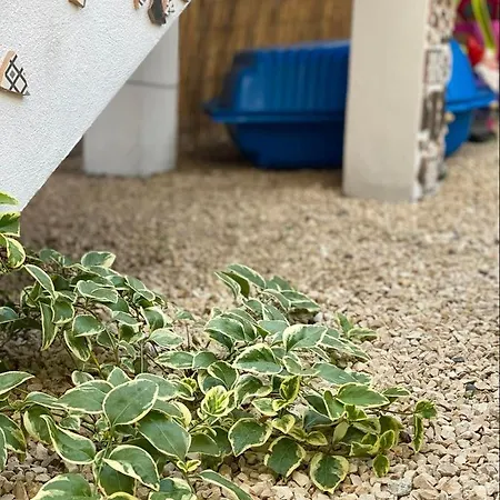 Casa Darului Kwatera prywatna