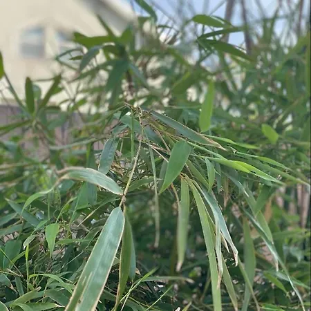 Casa Darului منزل للإقامة