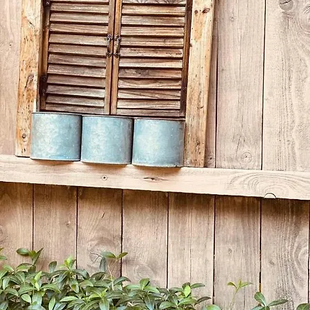 Kwatera prywatna Casa Darului Eforie Nord