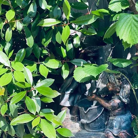 Kwatera prywatna Casa Darului Eforie Nord